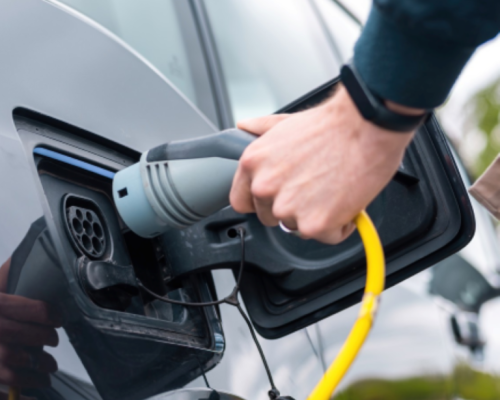 para-web-780-final-768x768 para-web-780-final-768x768