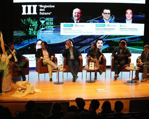 Cumbre del litio 2025 .2